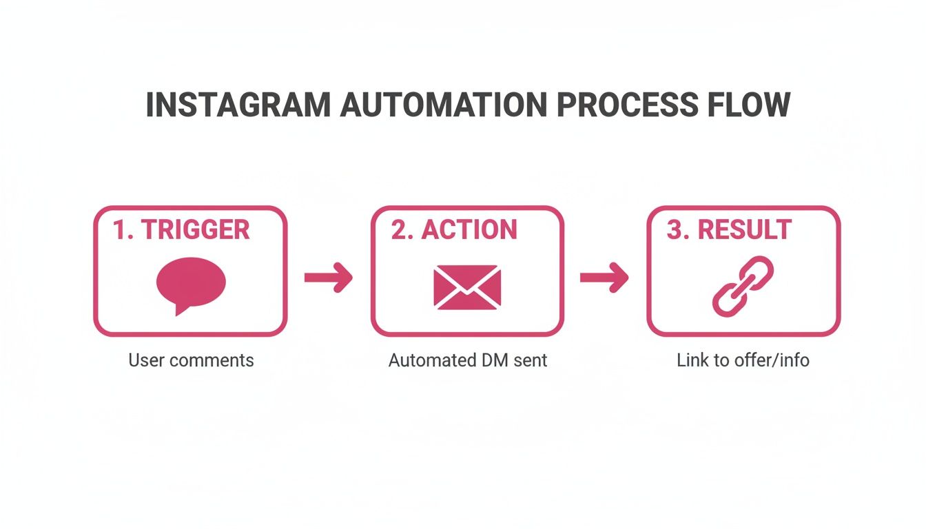 An Instagram automation process flow diagram outlining trigger, action, and result steps.